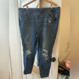 Torrid jeans